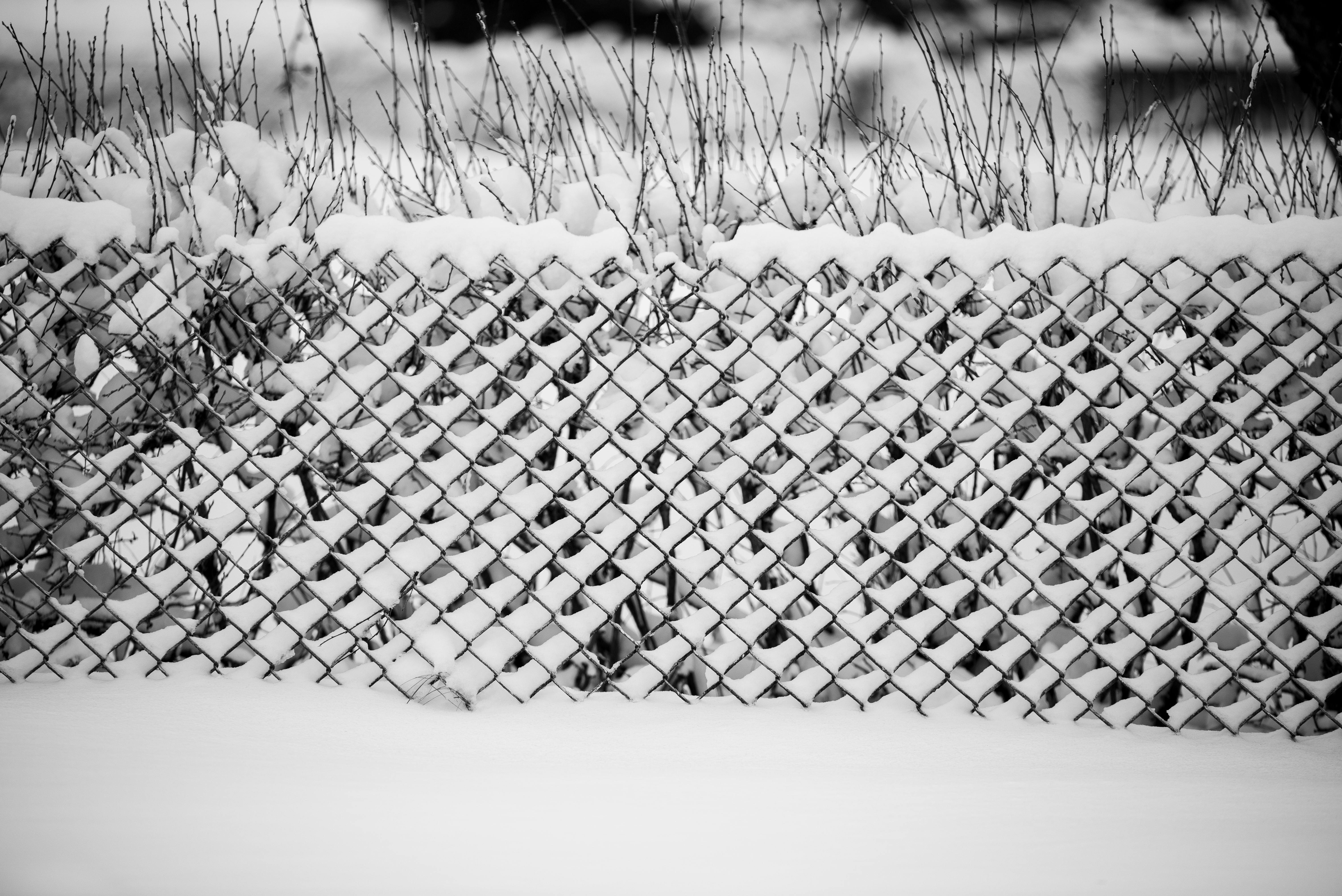 Kostenlos Ein Schwarzweißfoto eines schneebedeckten Zauns in einer ruhigen Winterlandschaft. Stock-Foto
