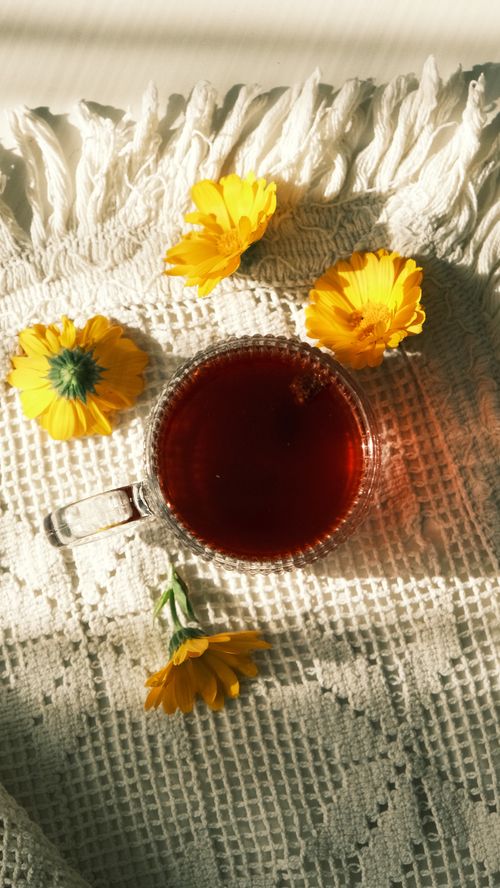 Free Glass tea cup with calendula flowers on textured fabric, sunlit scene. Stock Photo