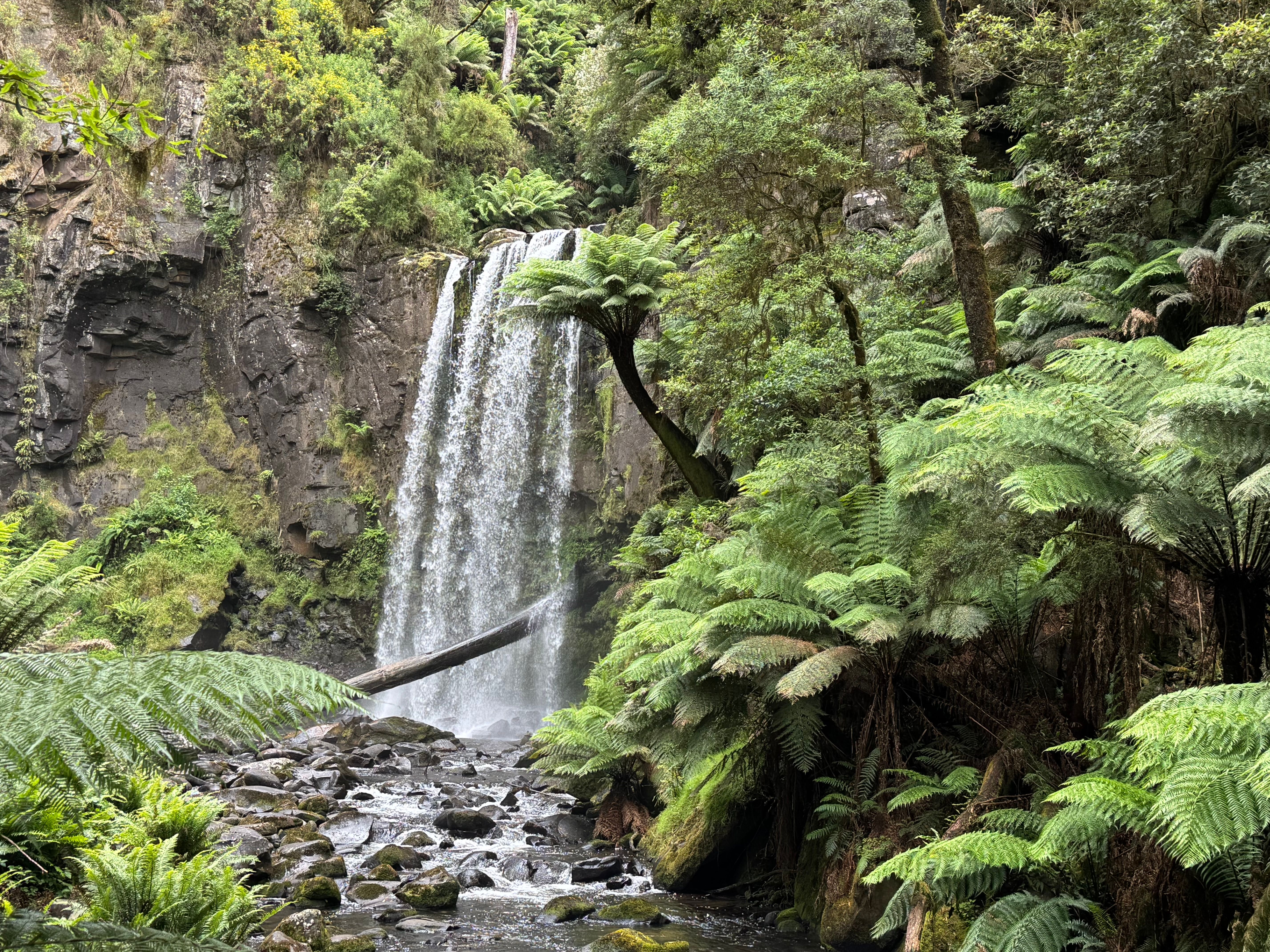 Waterfalls Near Ballarat: Best Day Trips to Find Natural Swimming Holes