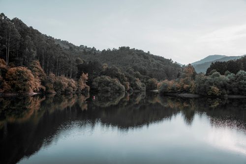 Free Peaceful reflection of trees and mountains on a serene lake in El Regato, Spain. Stock Photo