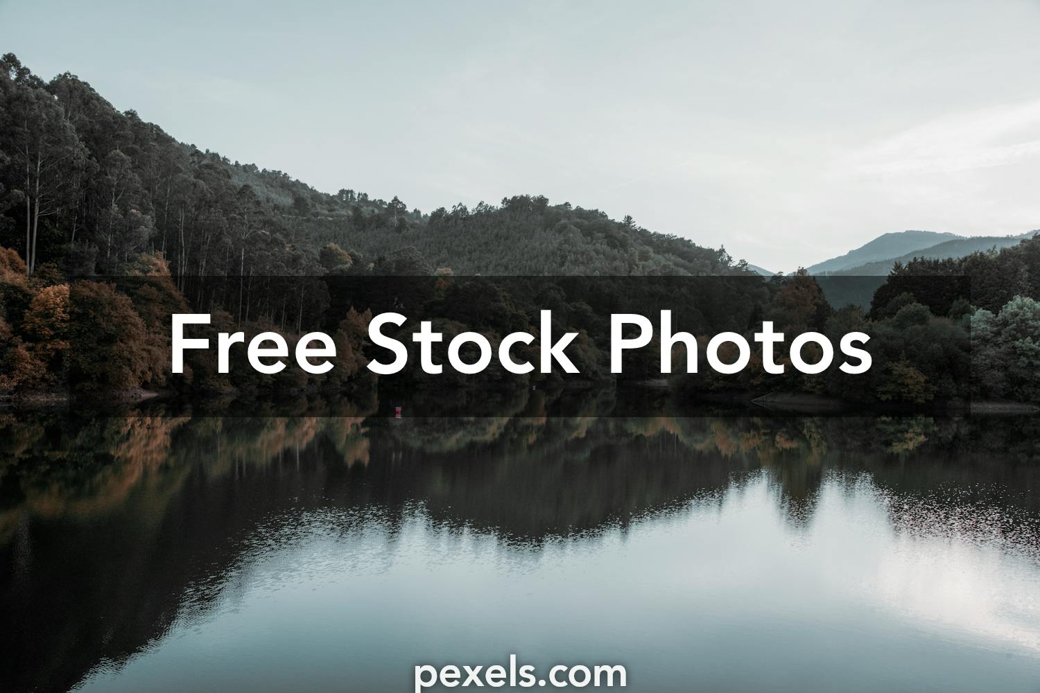 Best Pv Photos · 100% Free Download · Pexels Stock Photos