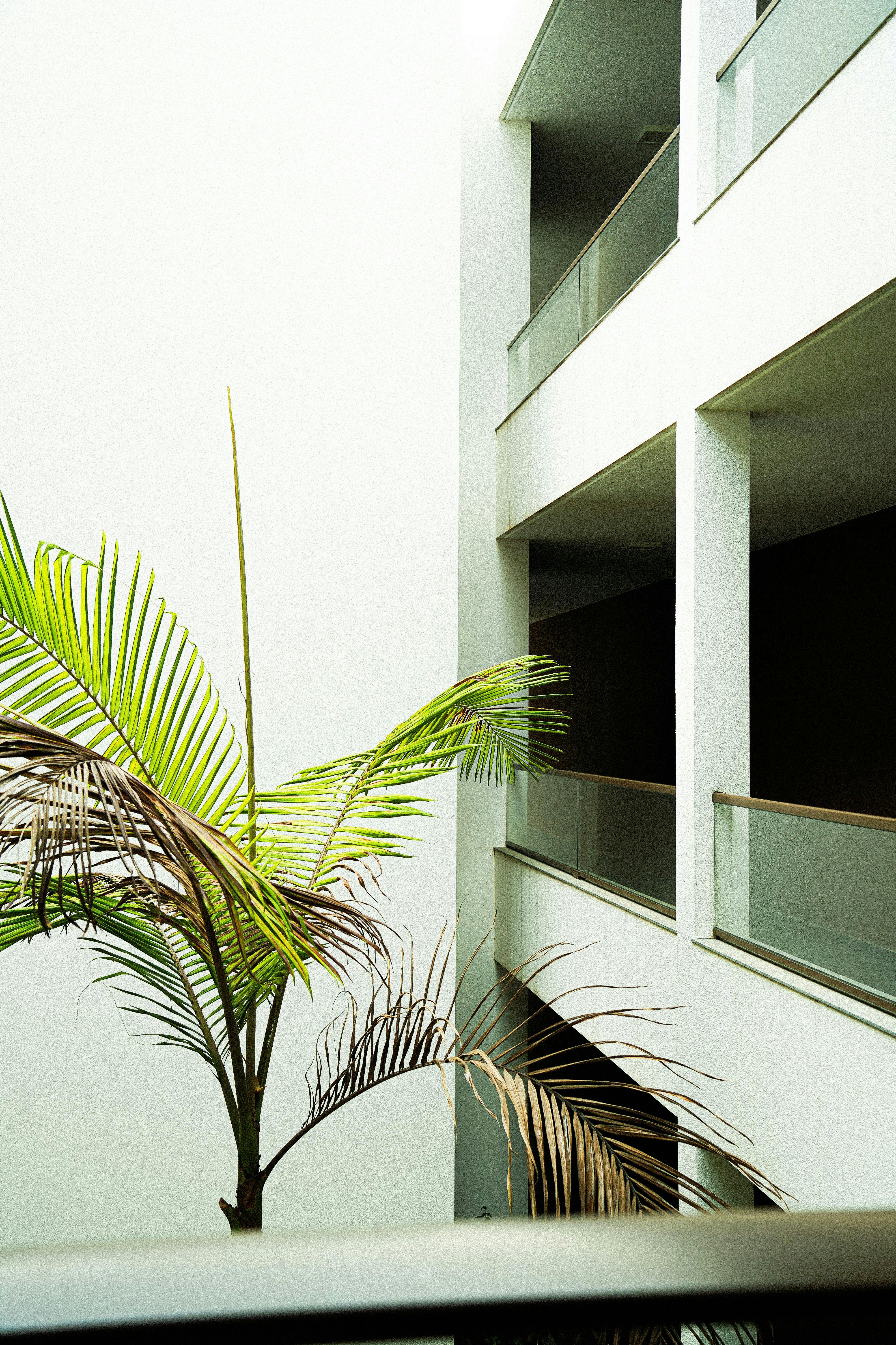 Ковка как элемент уникальности дизайна