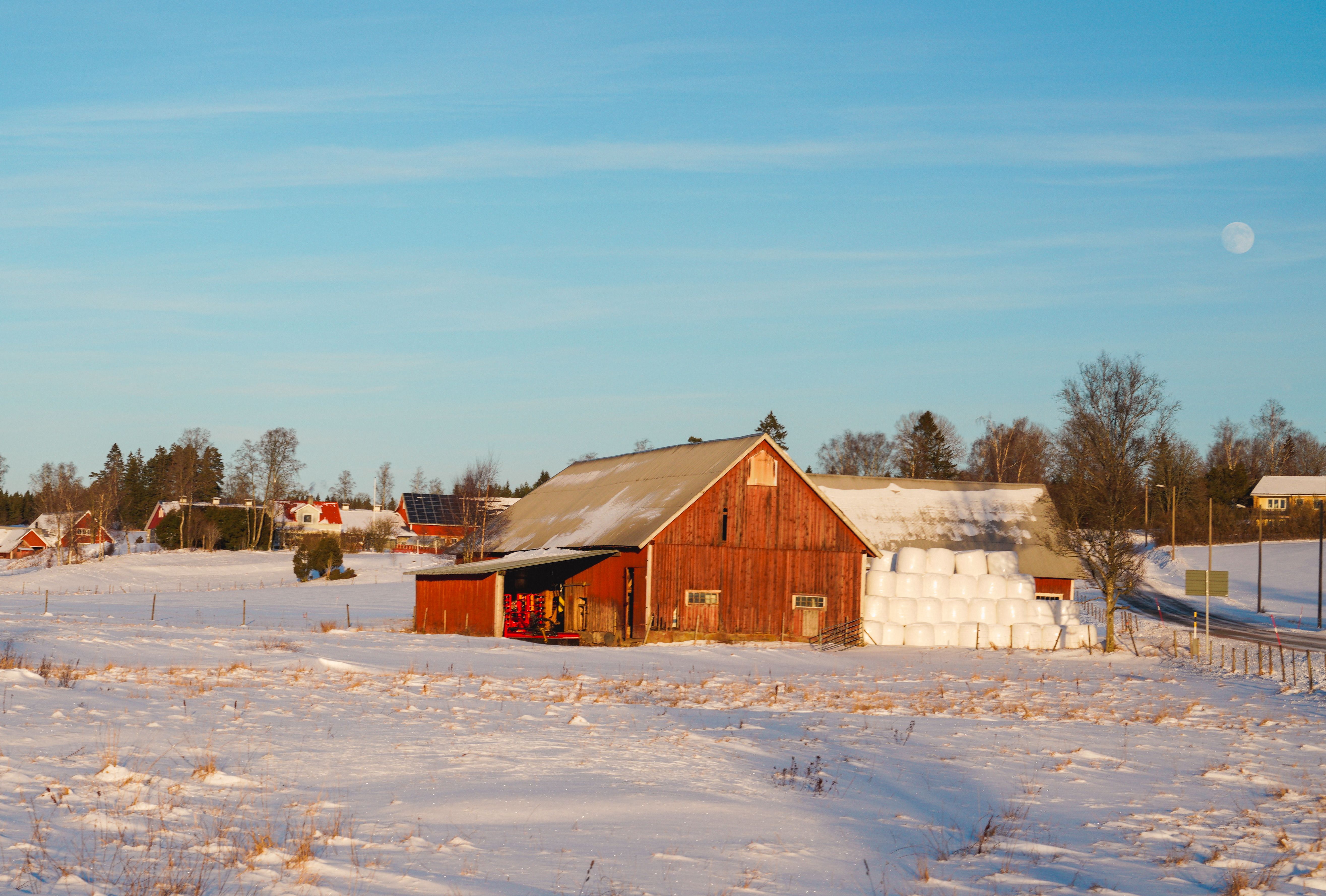 Scenic Red Barn on Snowy Winter Farm Landscape · Free Stock Photo