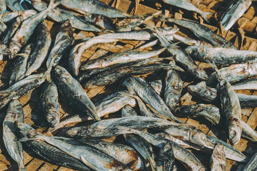 A collection of sundried fish on a bamboo mat, capturing traditional drying methods in Quy Nhơn, Vietnam.