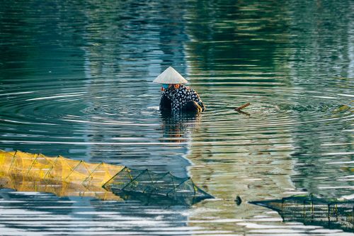 Free Vietnamese fisher in conical hat wading in Quy Nhơn water with traps. Stock Photo