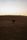 desert camel