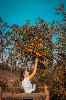 阳光明媚的日子里，一名妇女在大自然中伸手从树上摘橙子