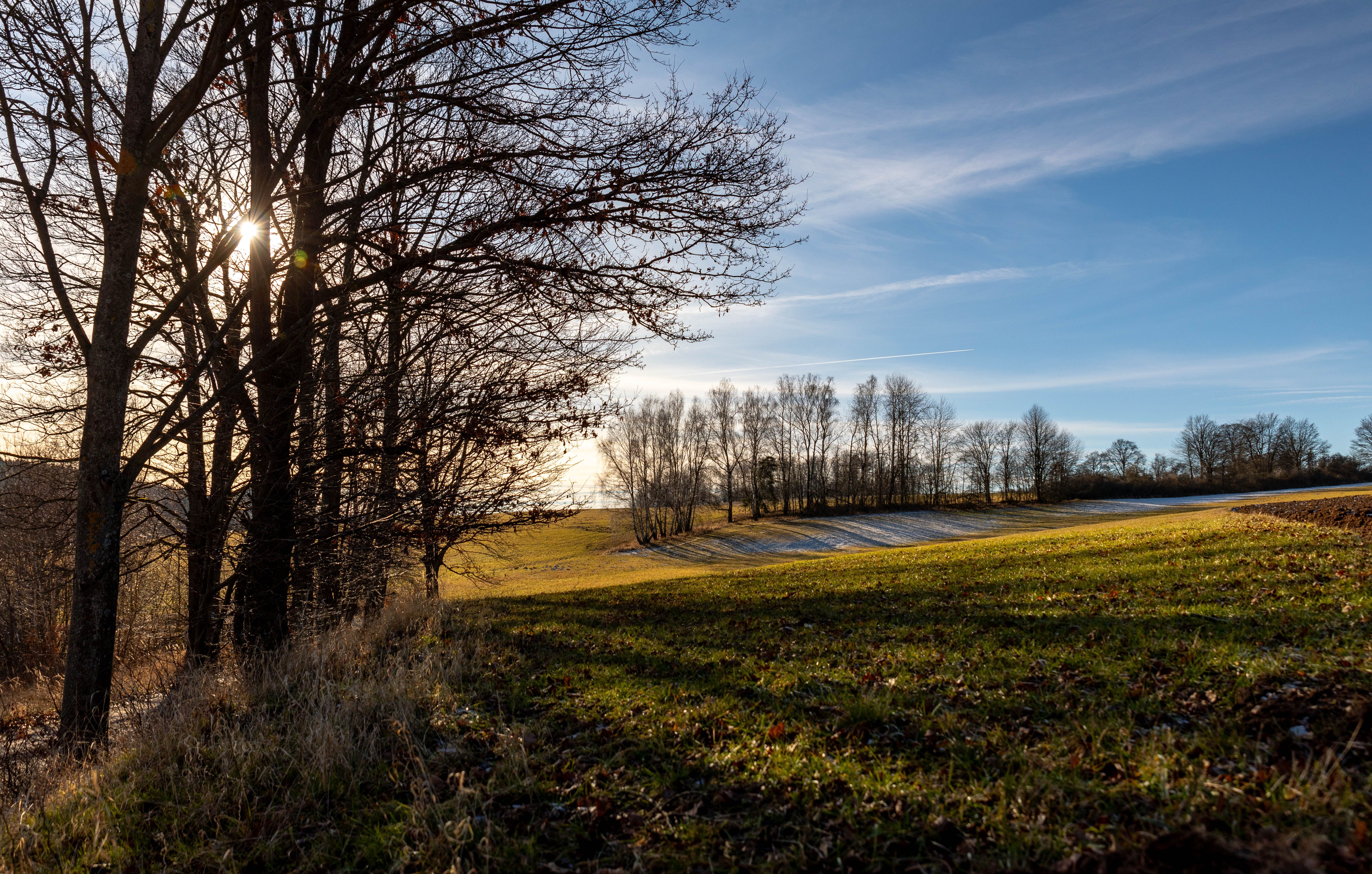 Serene Winter Landscape with Bare Trees and Sunlight · Free Stock Photo