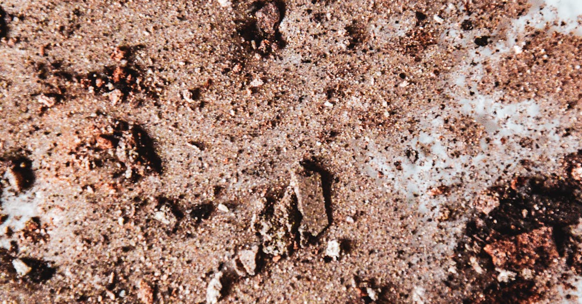 Close-up of Earthy Soil Texture with Rocks · Free Stock Photo