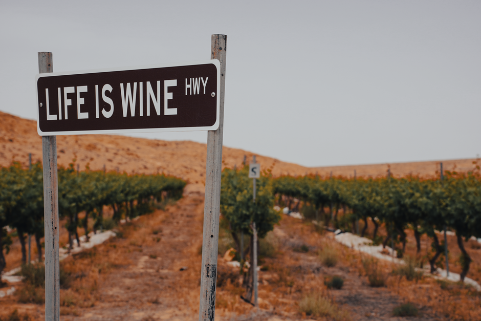 Vineyard scene in South District, Israel with a humorous road sign reading "Life is Wine Hwy."