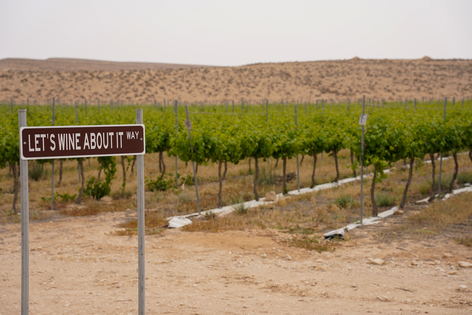 A Wine Lover's Paradise: Exploring Margaret River's Vineyards A Wine Lover's Paradise: Exploring Margaret River's Vineyards