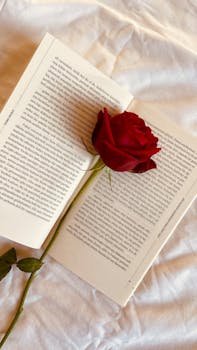A single red rose lying on an open book, symbolizing romance and love, with warm lighting.