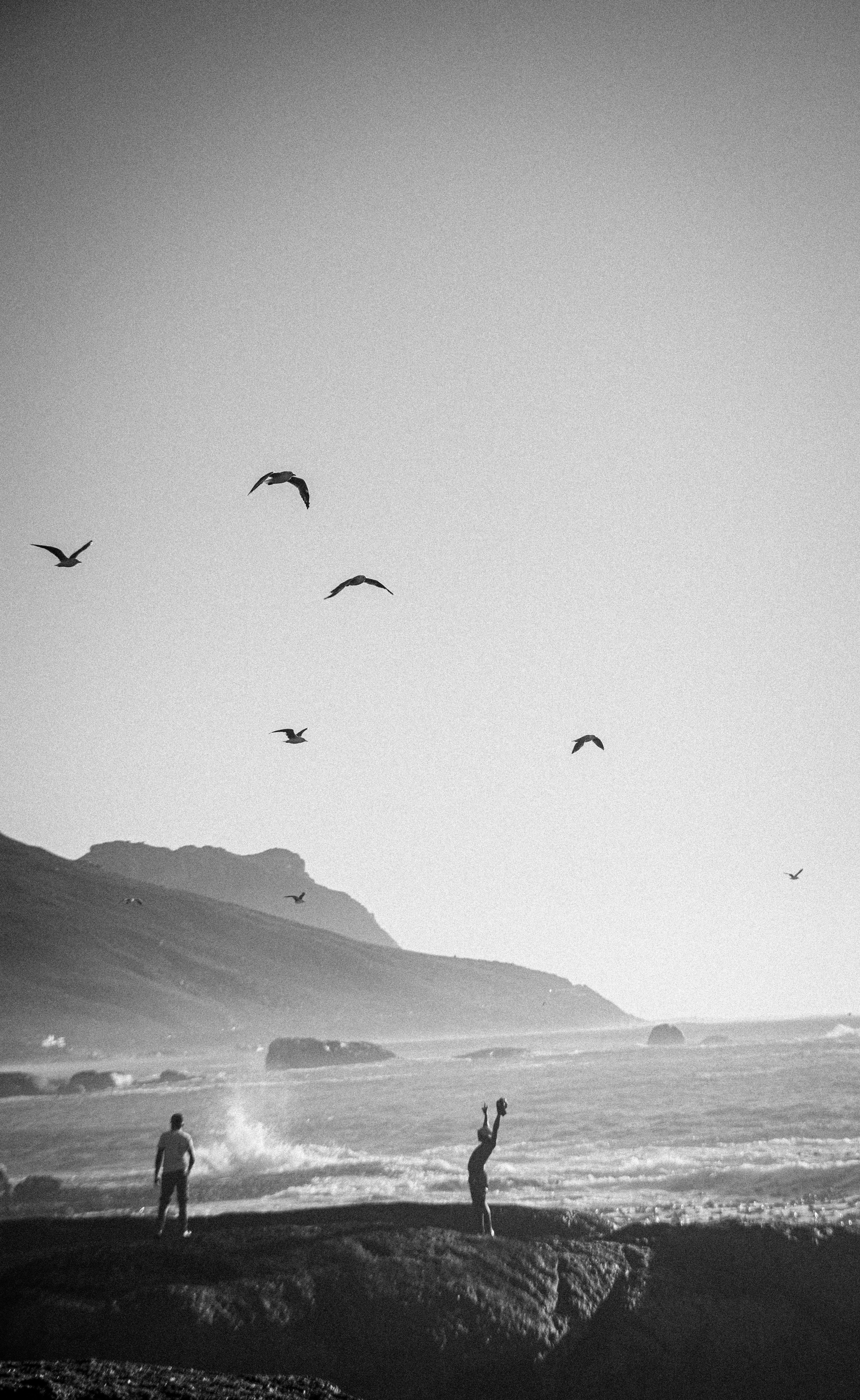 Silhouettes of people and birds against the ocean in Cape Town