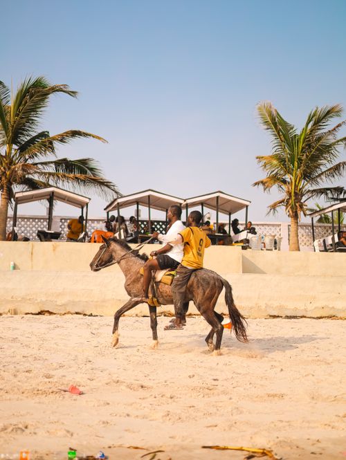 Free Two men enjoy horseback riding on a sunny tropical beach with palm trees and beach cabanas. Stock Photo