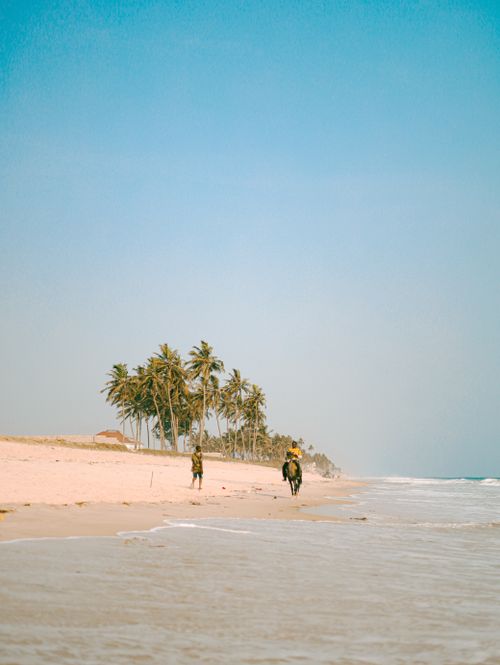 Free Peaceful tropical beach scene with palm trees and horse riders under clear sky. Ideal for travel inspiration. Stock Photo