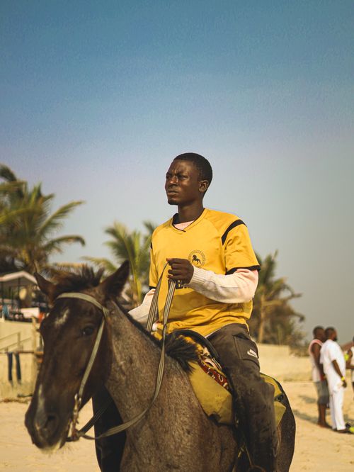 Free A man in a yellow shirt rides a horse on a palm-lined beach, capturing a vivid tropical scene. Stock Photo