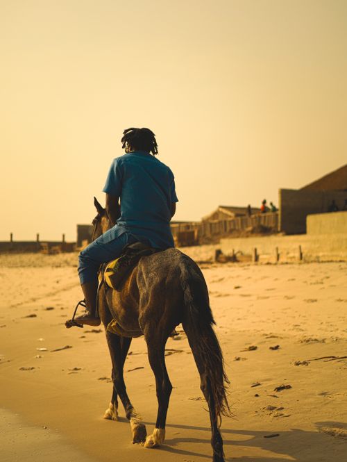 Free A man rides a horse along a serene sandy beach during golden hour. Stock Photo