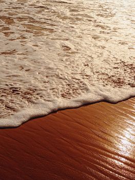 Sunlit ocean waves gently wash onto a sandy beach creating a serene and picturesque scene.