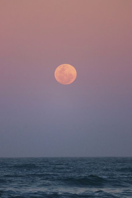 Majestic blood moon rising over the ocean at Gqeberha, South Africa.