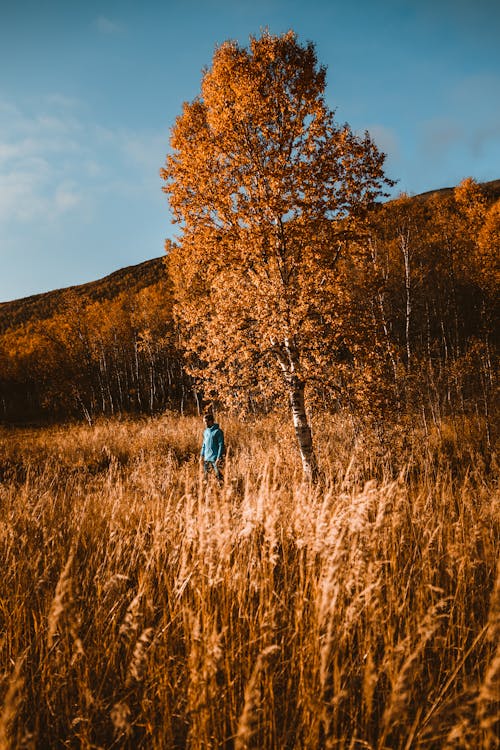 Foto Des Mannes, Der Unter Baum Steht