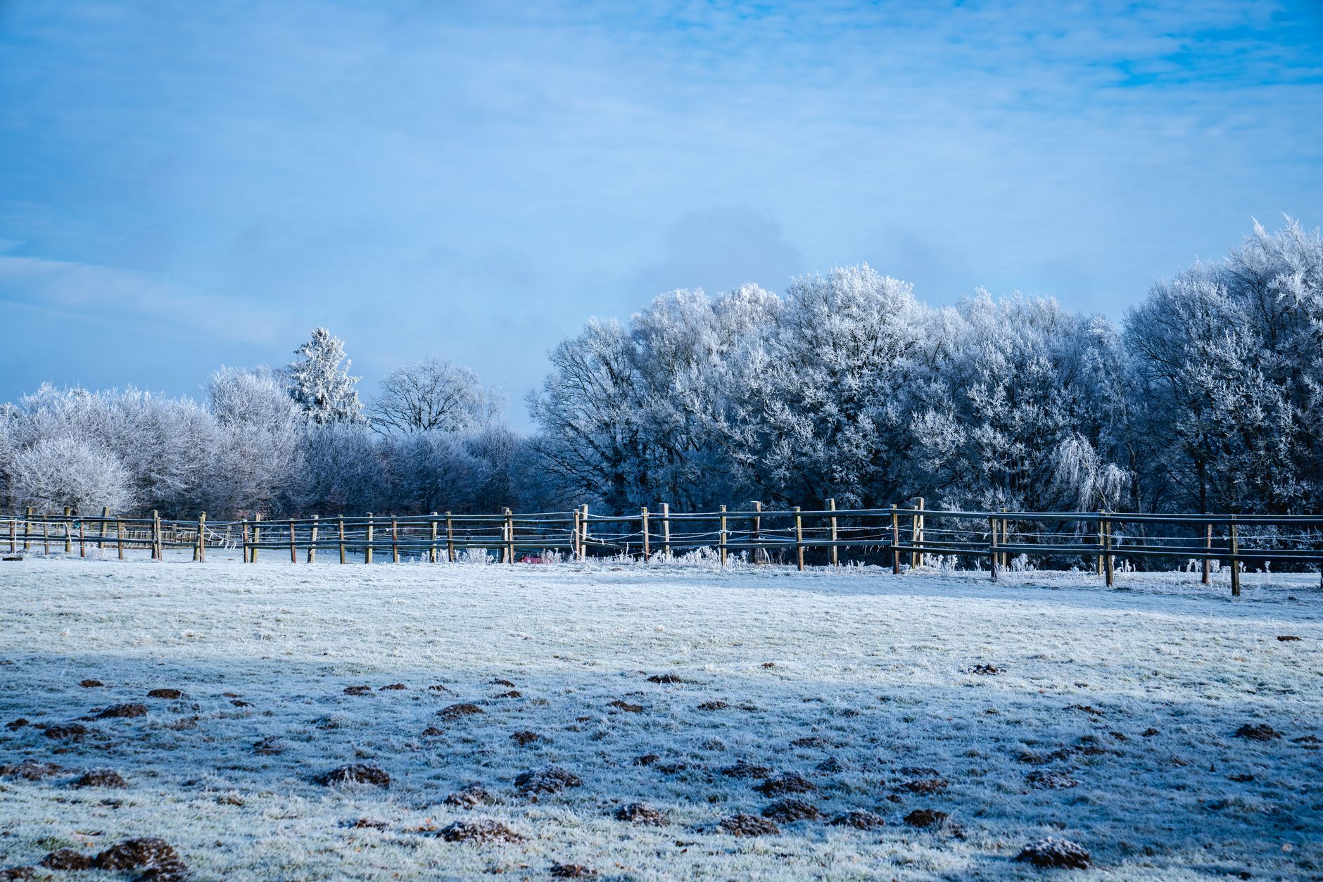 freeze watch