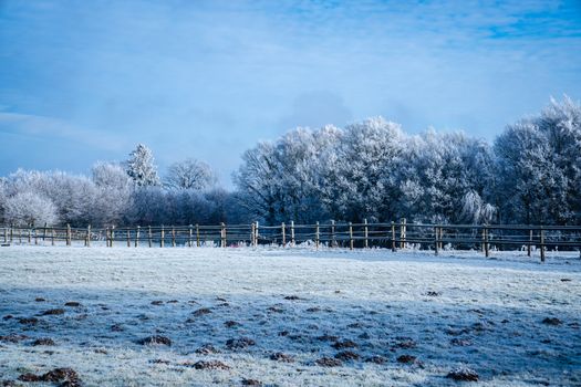 Serene winter scene of frosty trees and fields under a clear blue sky.