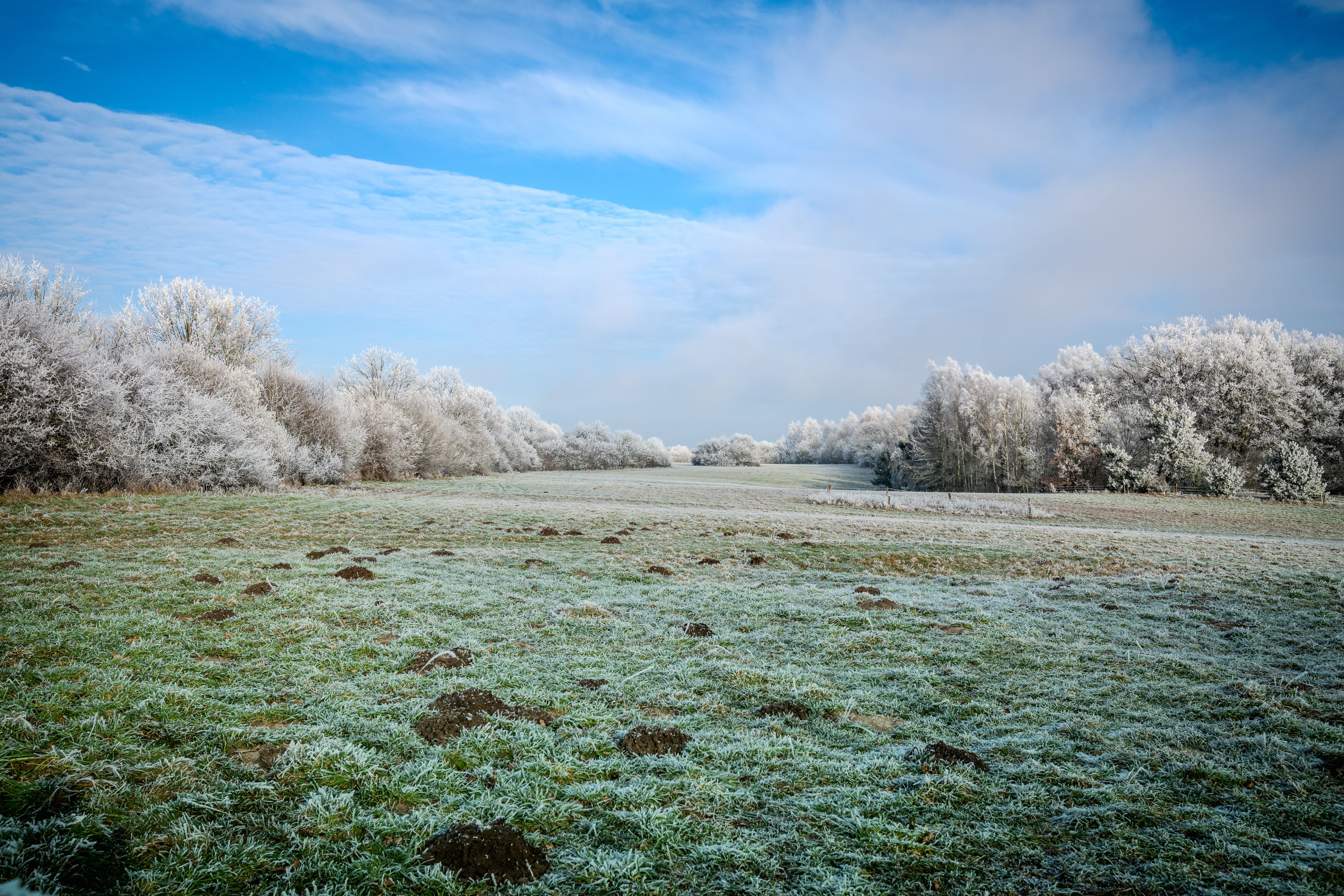 Frosty Winter Landscape with Blue Sky · Free Stock Photo