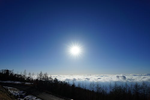 Immagine gratuita di mare di nuvole, montagna, monte fuji