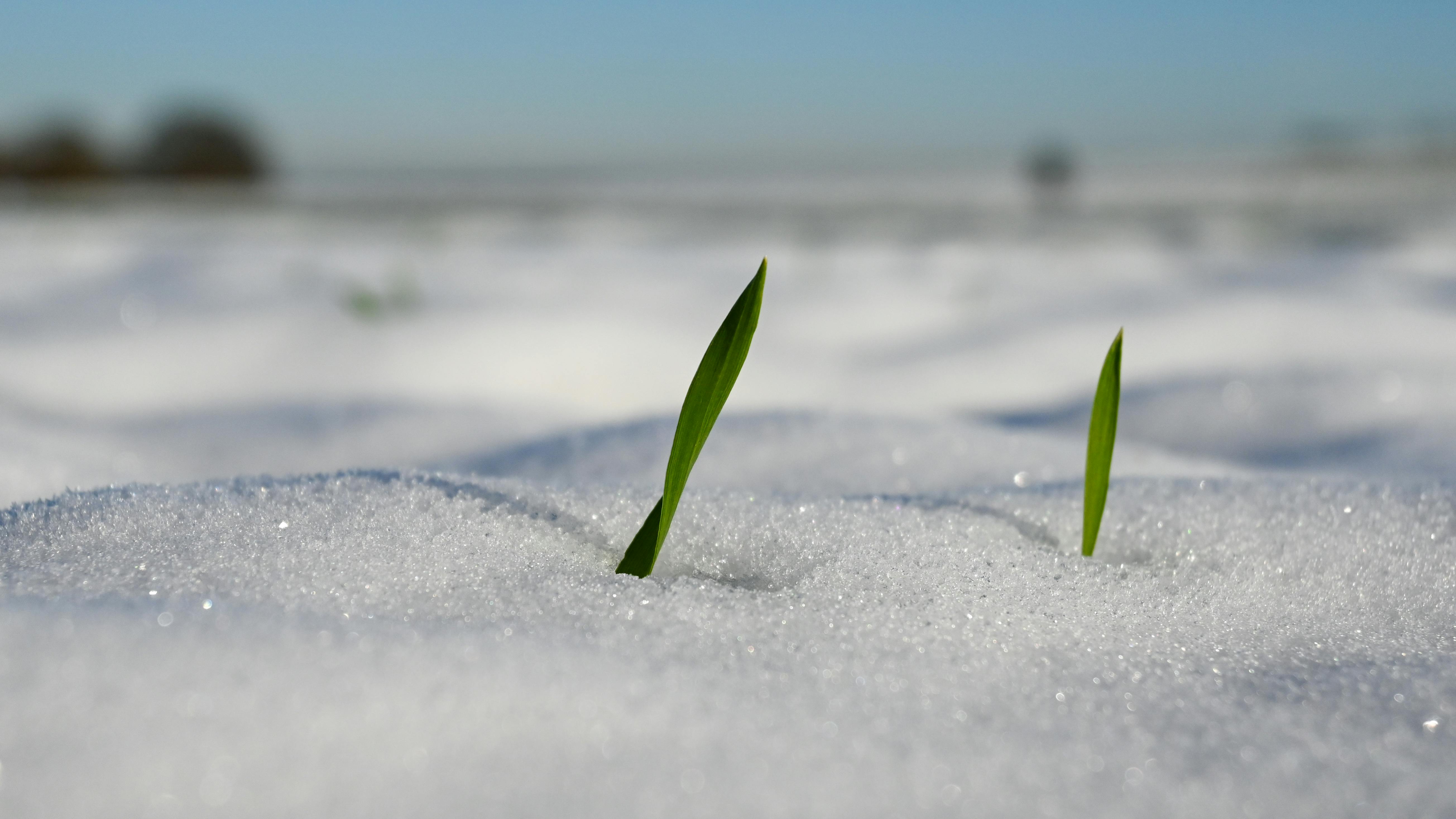 climate resilience — Photo by Lorna Pauli on Pexels