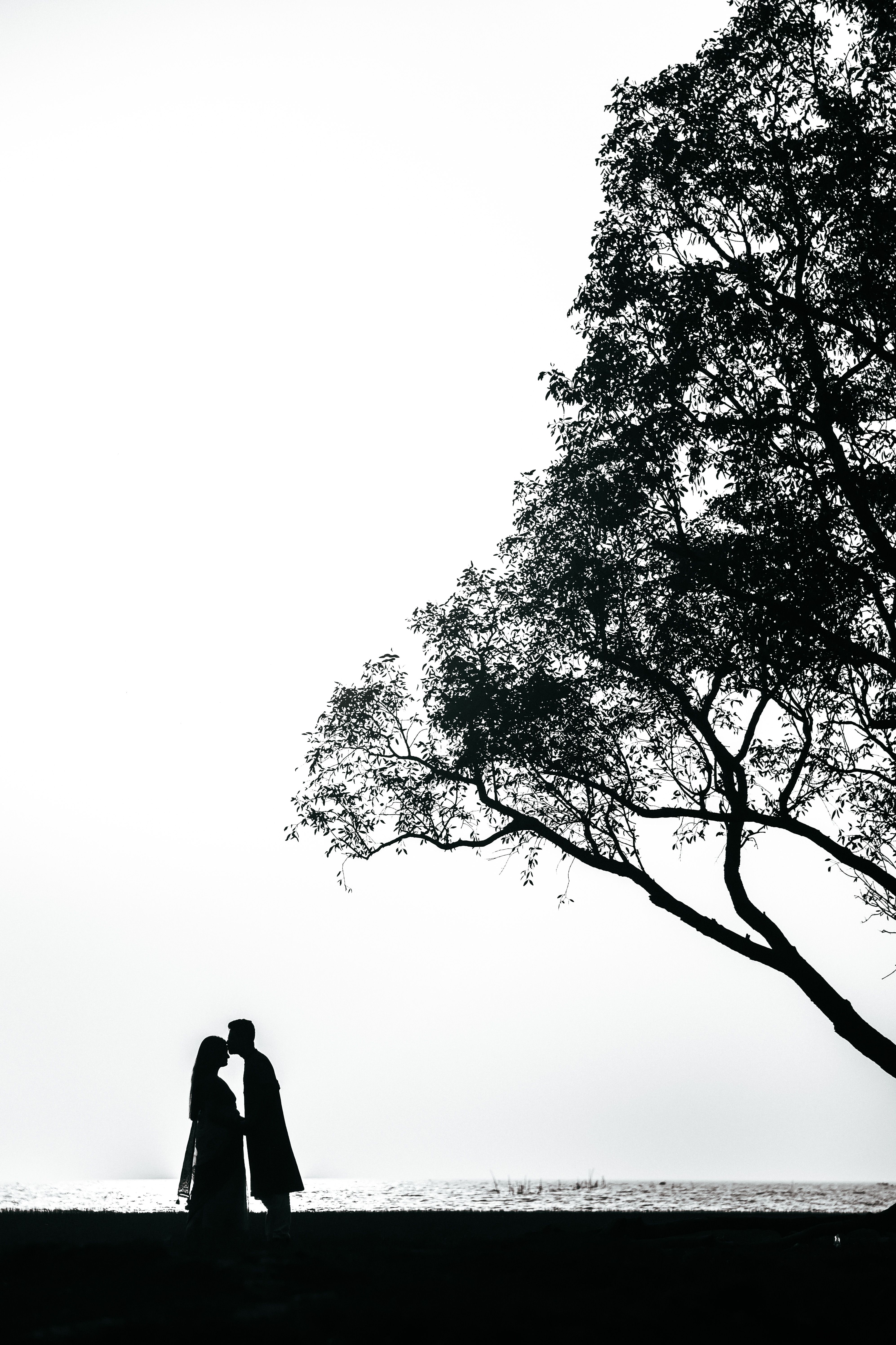 Silhouette of a couple kissing under a tree · Free Stock Photo