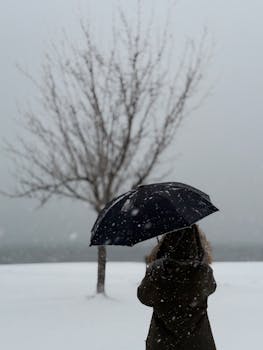 A person stands with an umbrella in a snowy landscape, embracing the tranquil winter atmosphere.