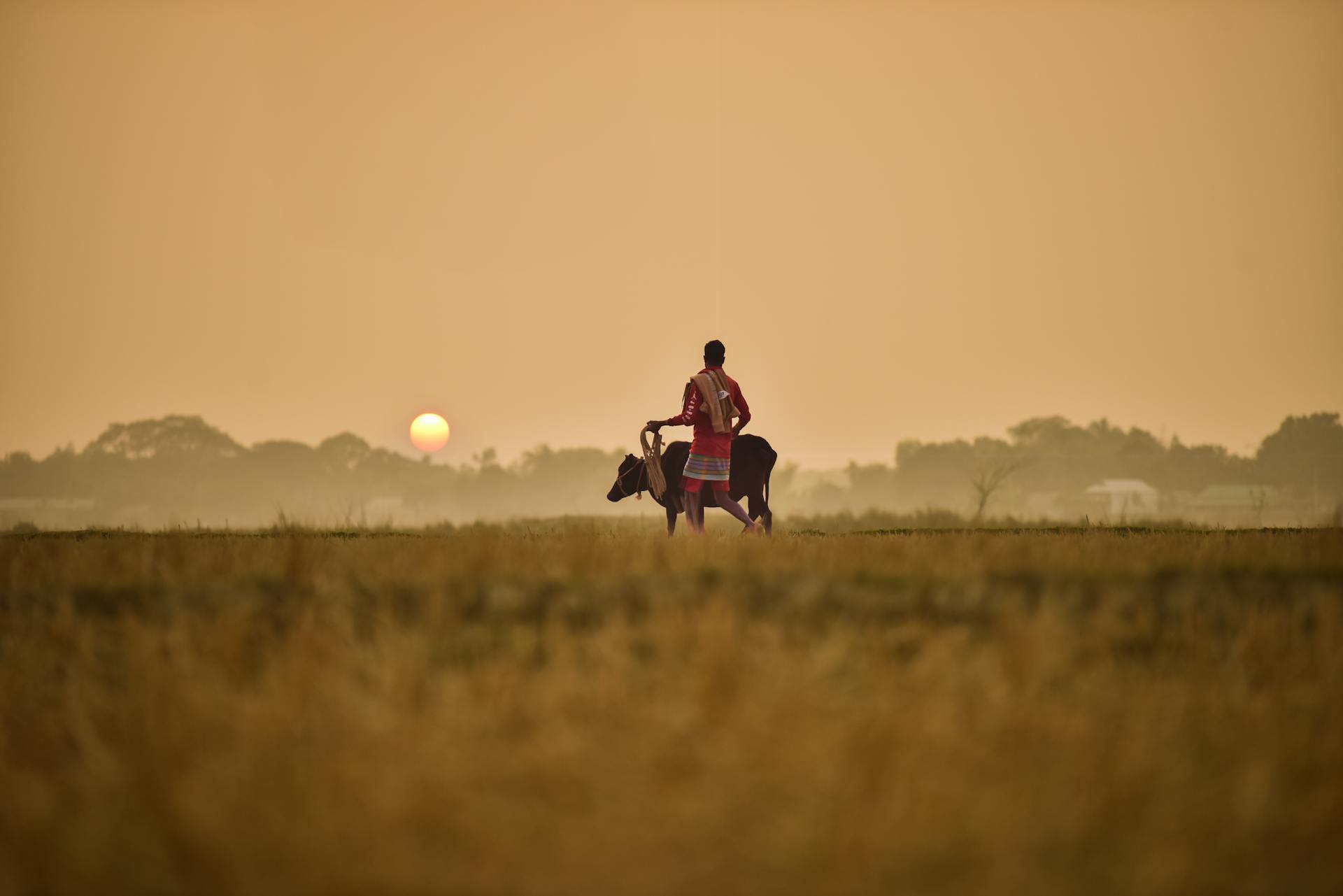 bangladesh