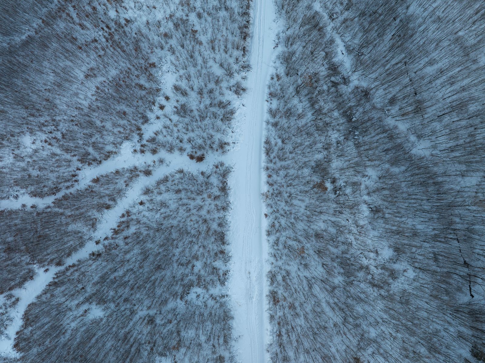 Icey Path Photos, Download The BEST Free Icey Path Stock Photos & HD Images