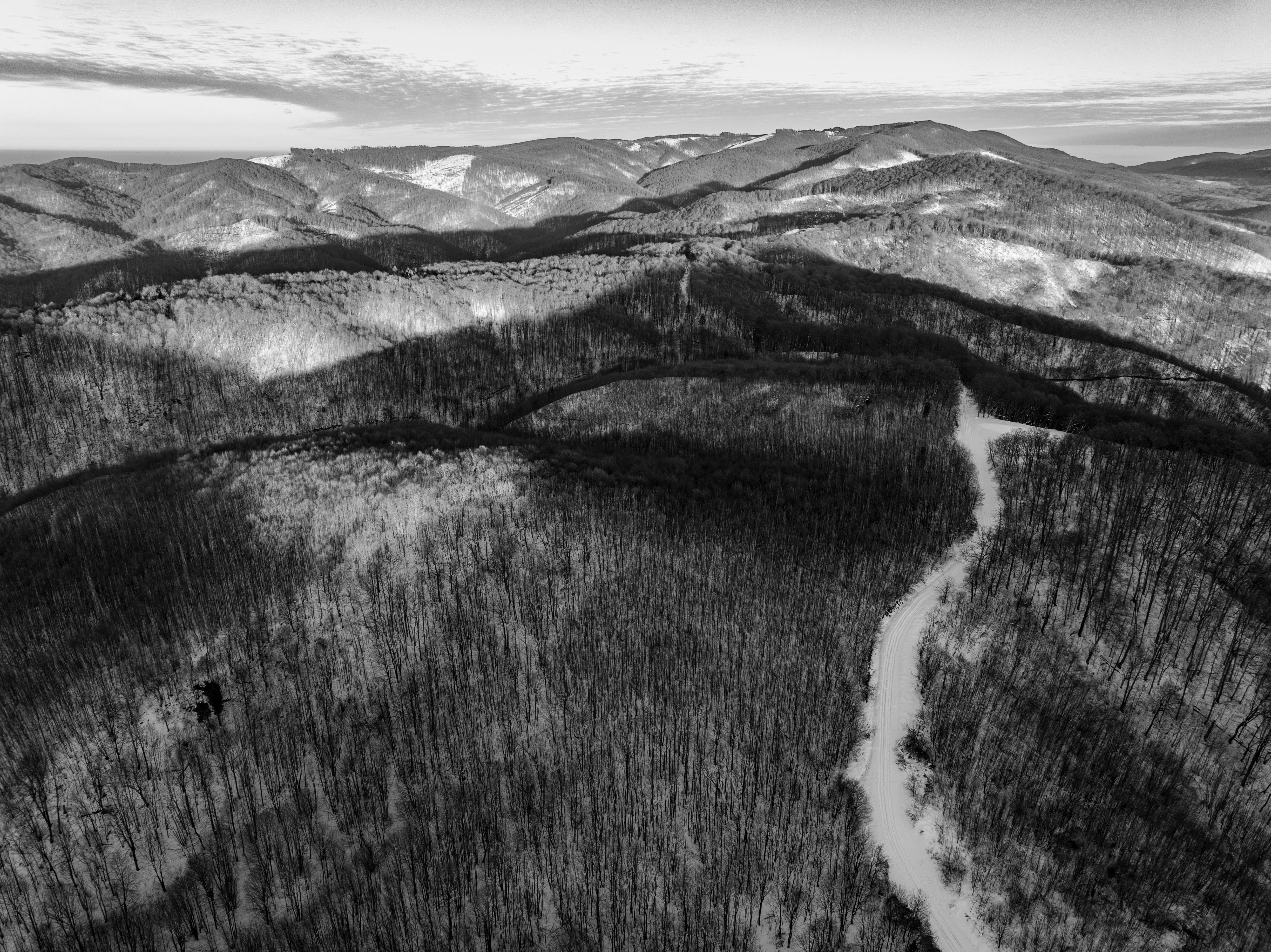 Aerial Black and White View of Snowy Forest · Free Stock Photo