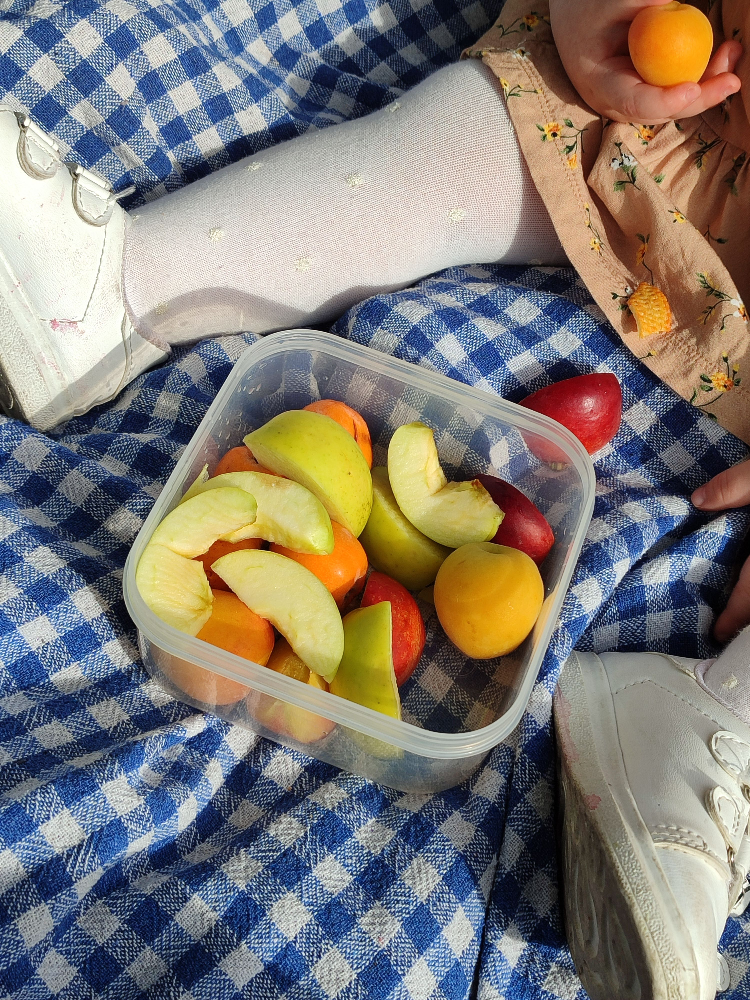 Colorful Picnic Blanket with Fresh Fruit · Free Stock Photo