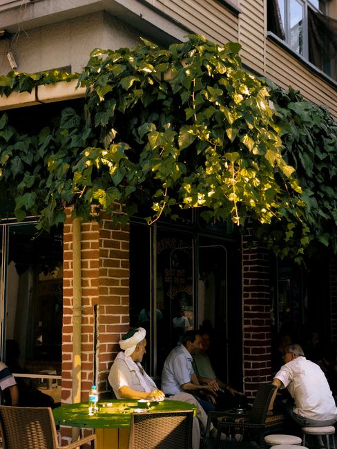 A relaxed scene of people socializing at an outdoor cafe surrounded by lush greenery.
