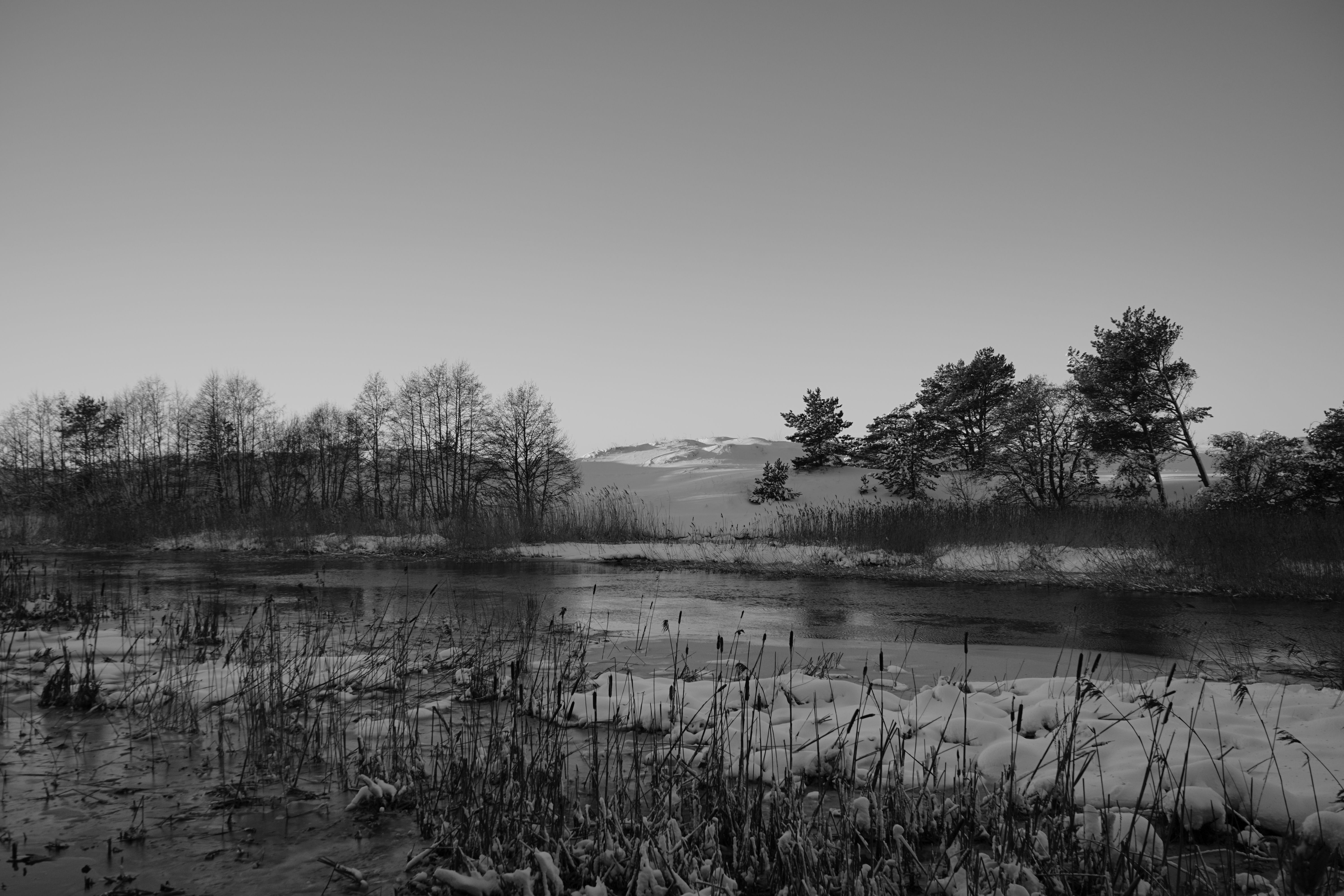 Black and White Winter Landscape Scene · Free Stock Photo