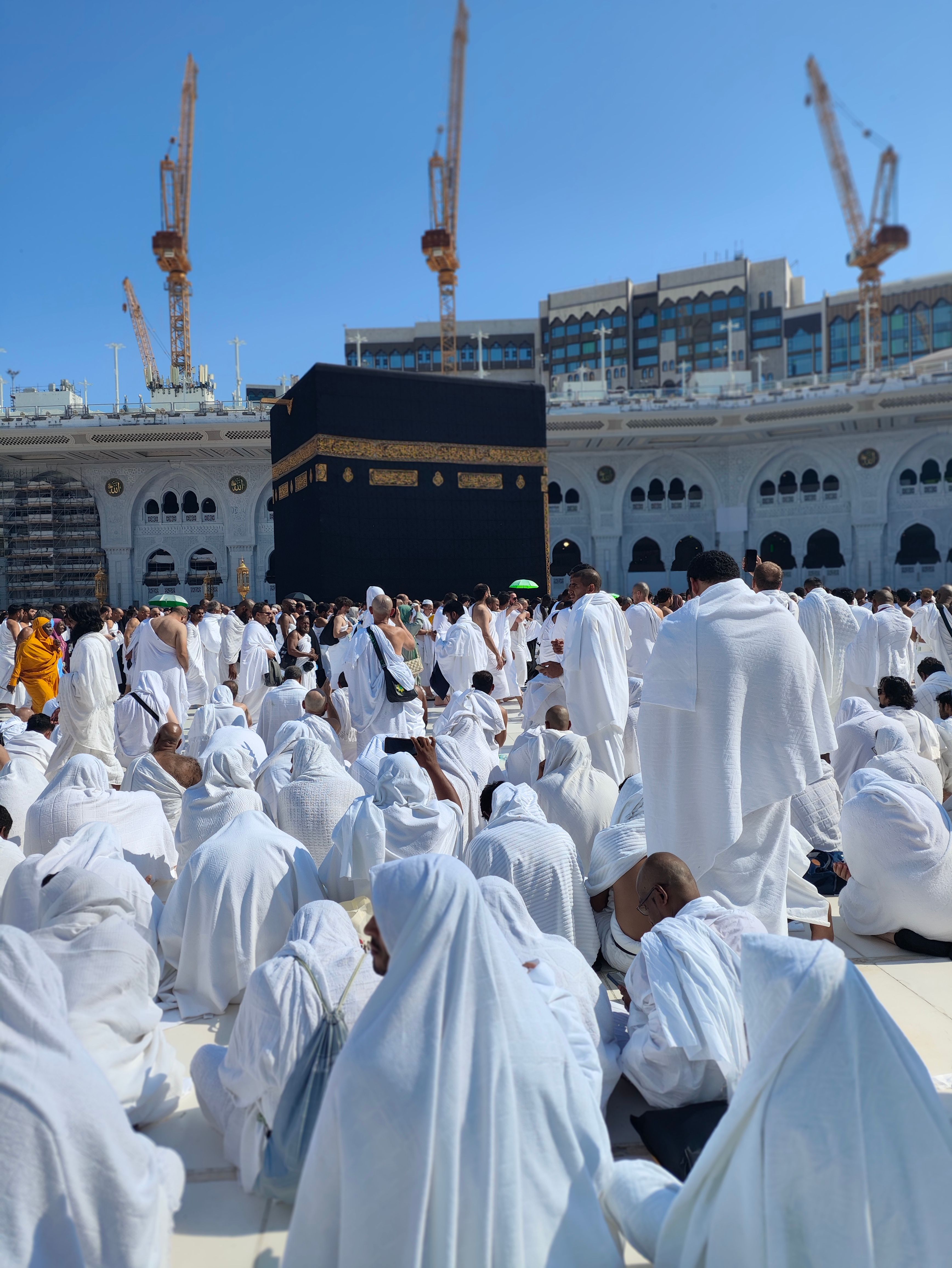 السعودية ومنظمة أوبك