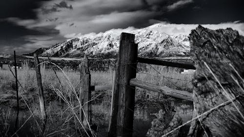 Foto stok gratis bidang, gunung bersalju, hitam dan putih