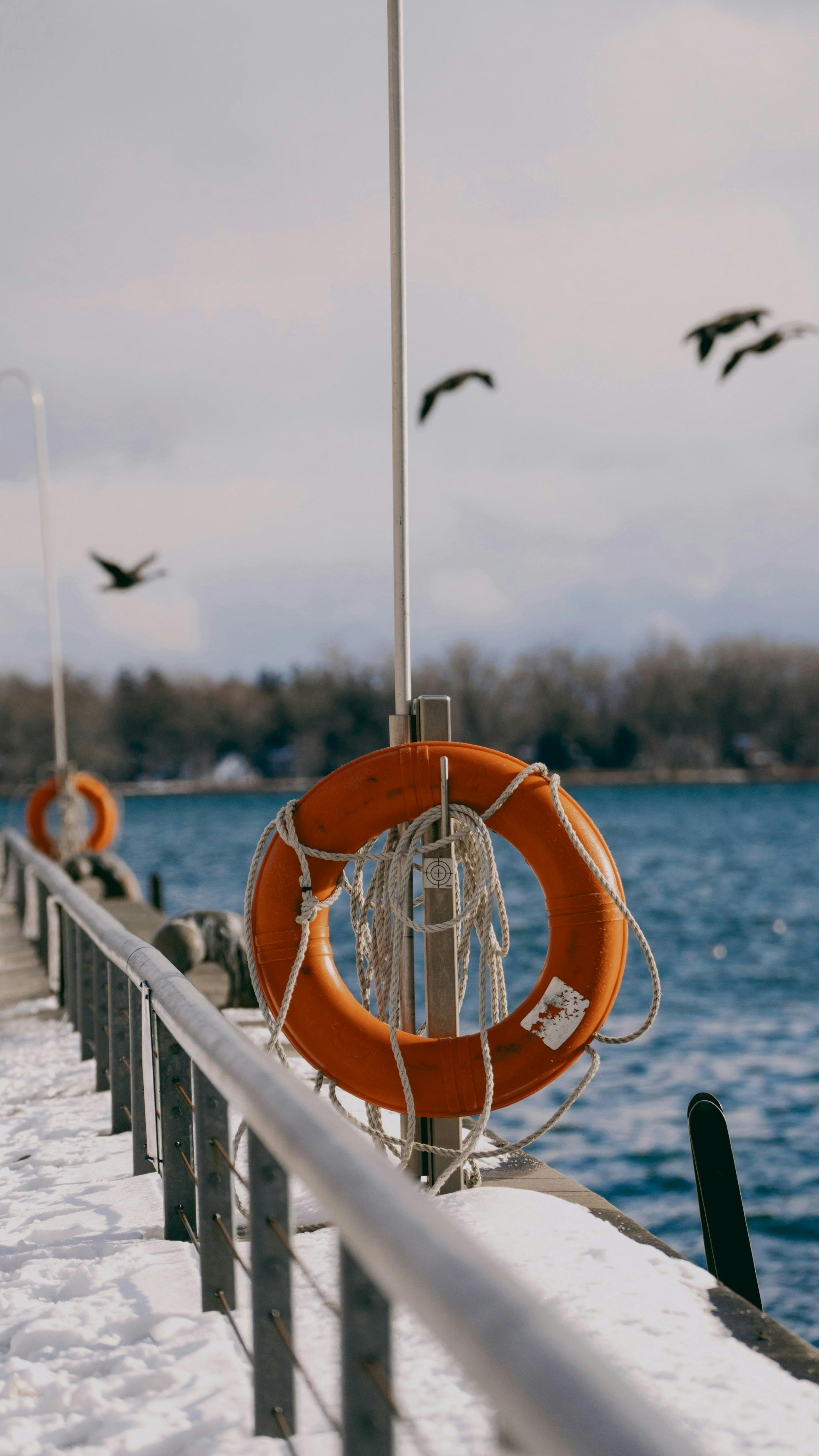 Snowy lakeside pier with life buoy and soaring birds on a crisp winter day.