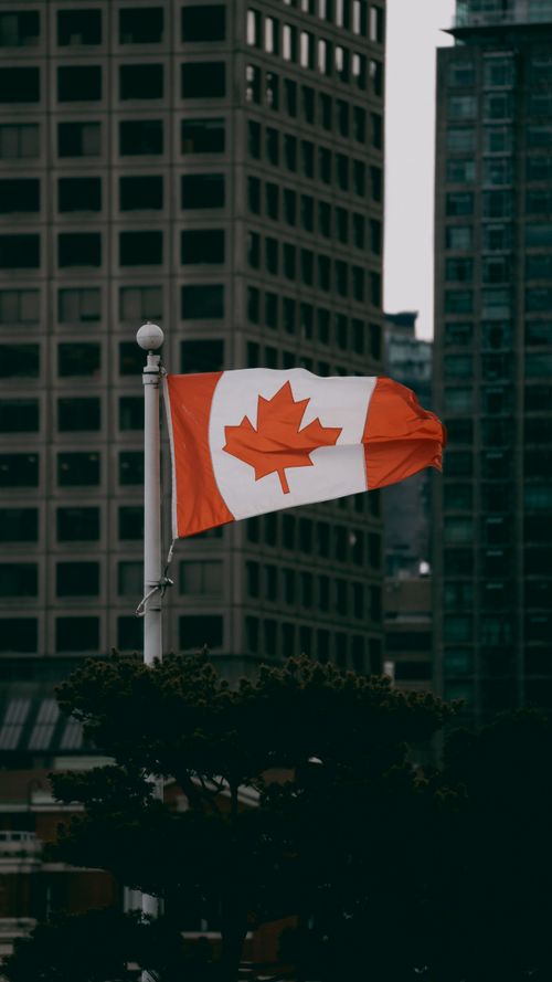 Free Canadian flag waving against urban skyscrapers, symbolizing national pride in the city. Stock Photo