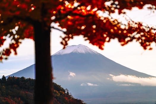 Autumn leaves frame the iconic Mount Fuji under a clear sky.
