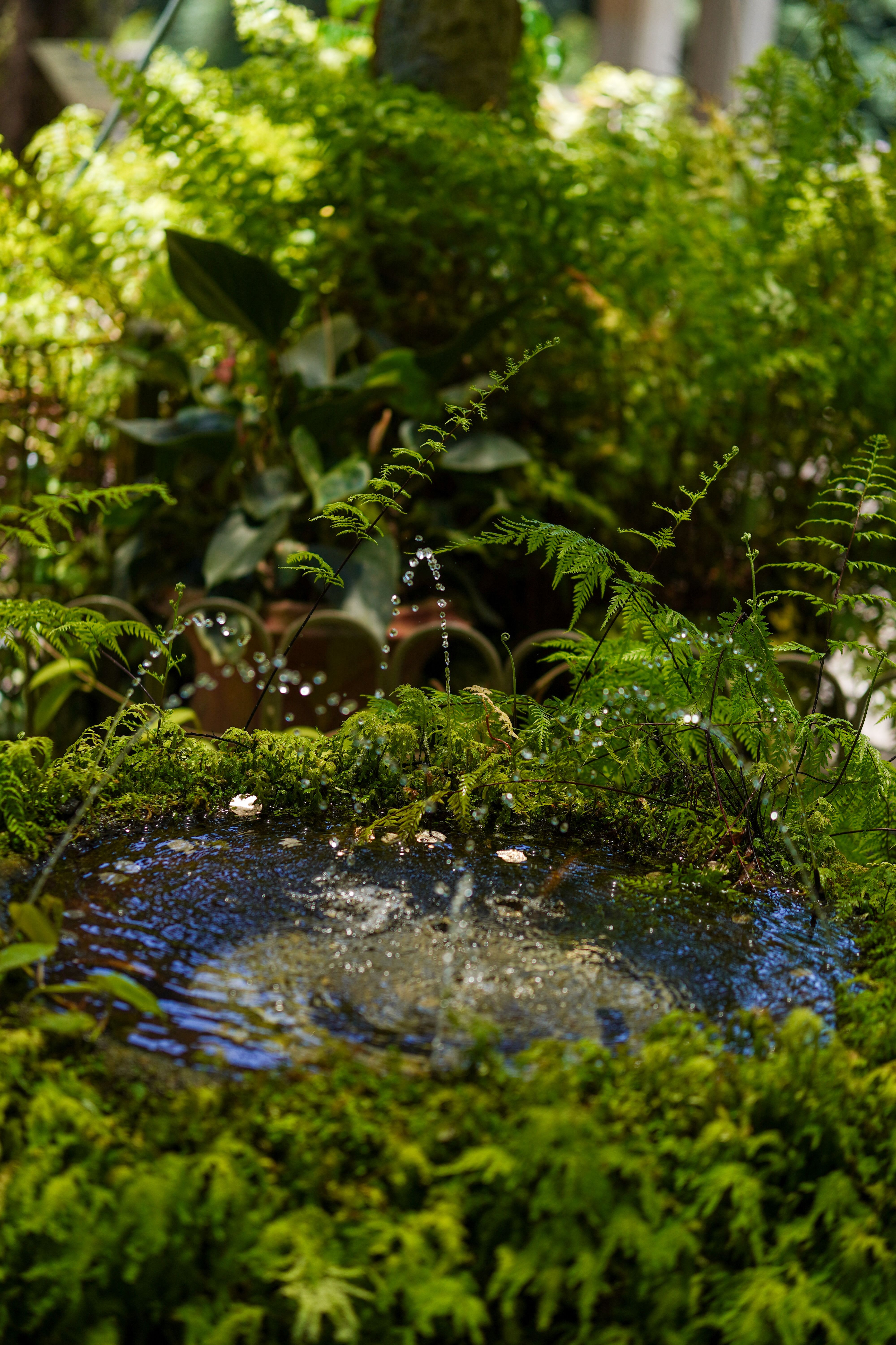 Woodland Whimsy featuring Moss and Ferns - christmas decor with natural plants