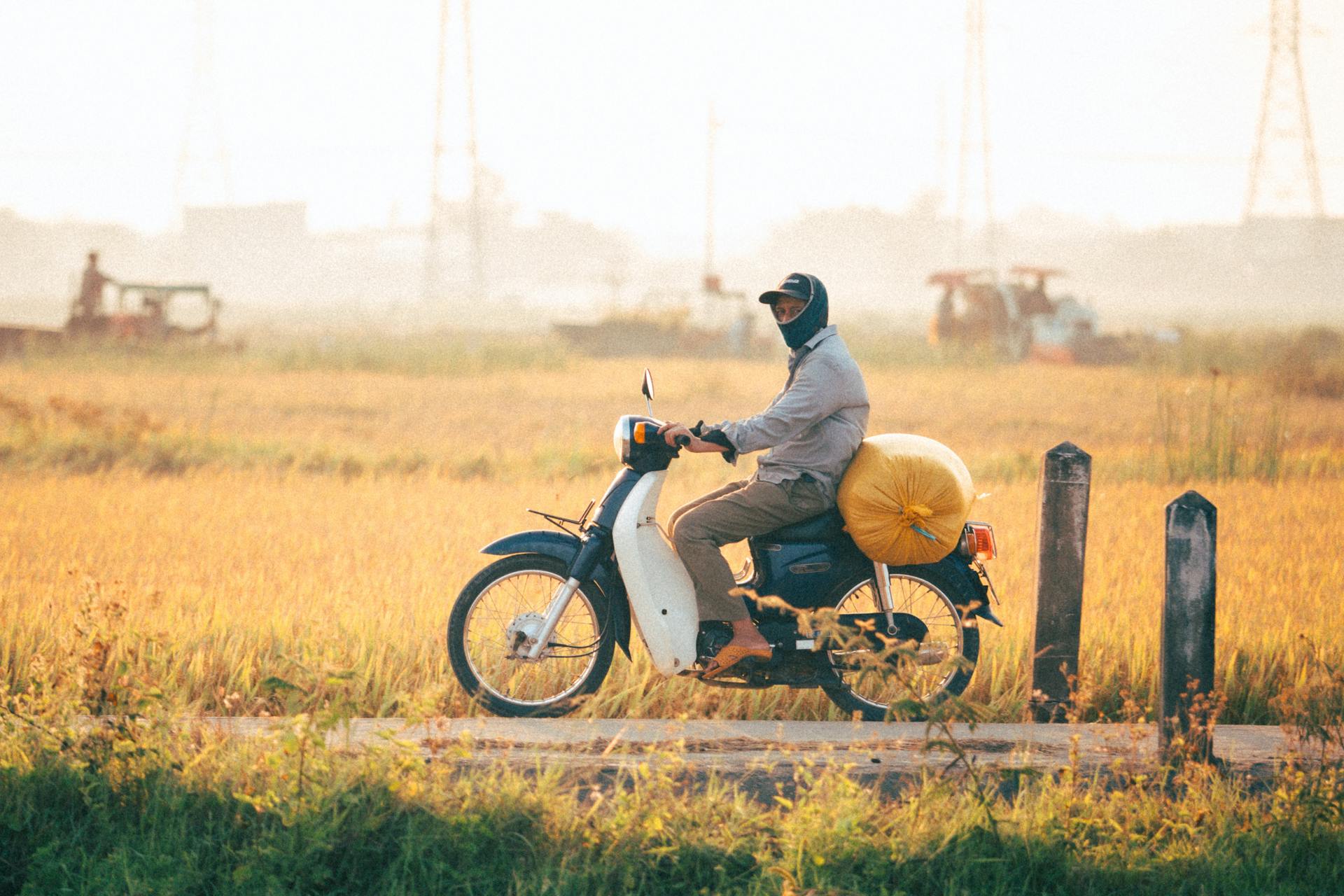 Motorbike rider traveling through rice fields in Quy Nhơn, Vietnam at sunrise, showcasing rural transport.