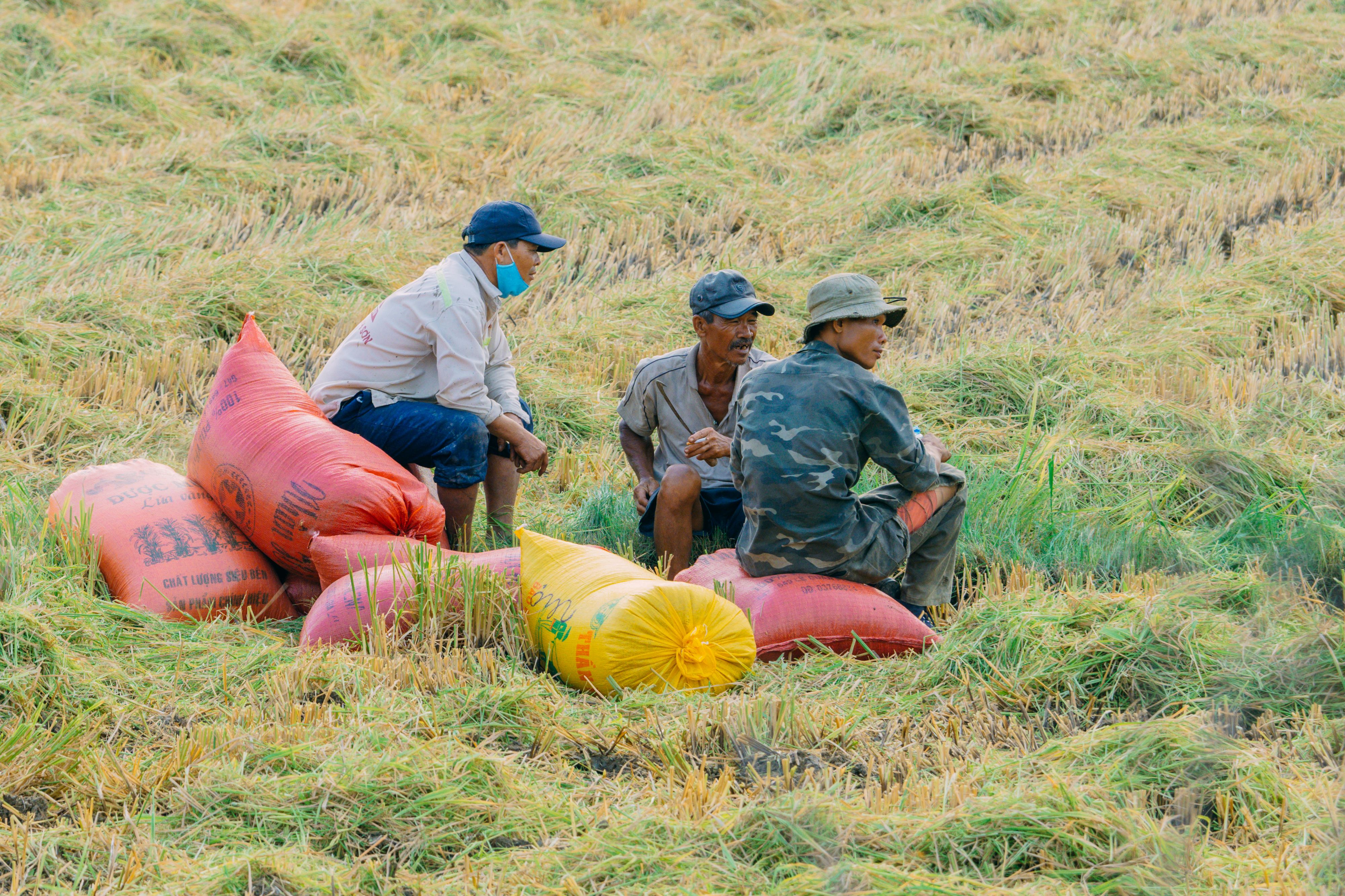 Farmers resting with harvest bags in Vietnamese field · Free Stock Photo