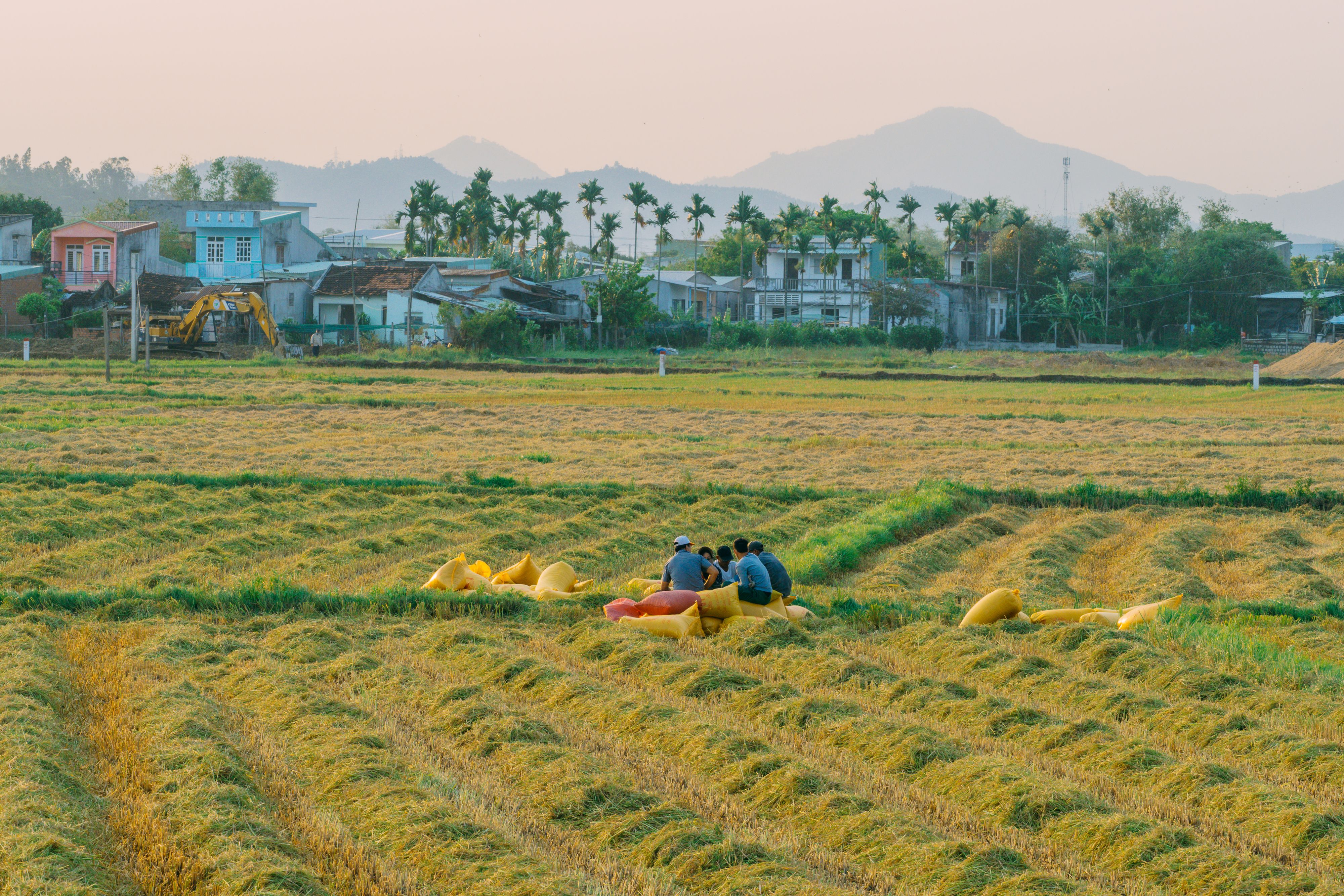 Rural Landscape in Quy Nhơn, Vietnam · Free Stock Photo