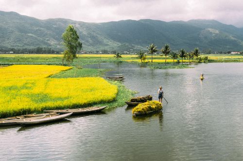 Free Picturesque river scene with farmers in boats surrounded by lush fields and mountains. Stock Photo