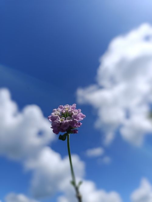 Free #Sky  Stock Photo