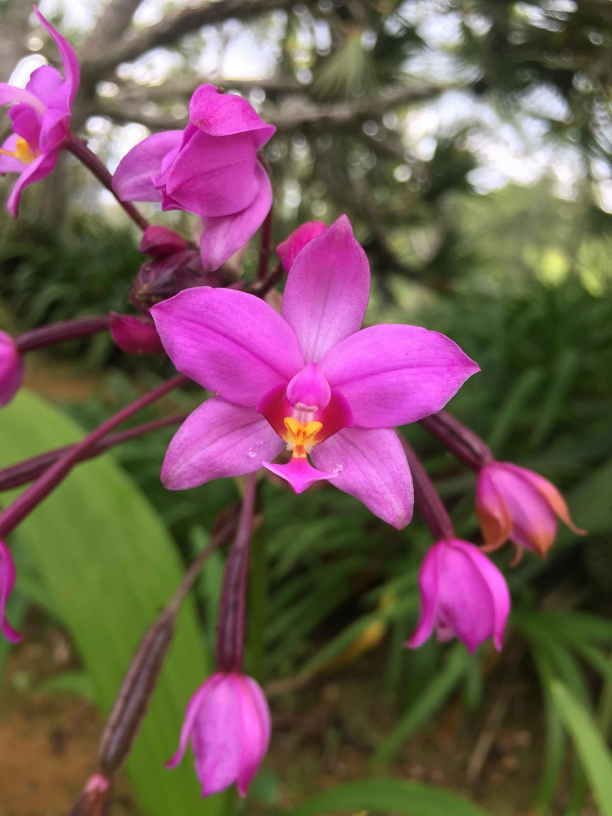 Overhead photo of cracked dry earth in a drought-affected region
