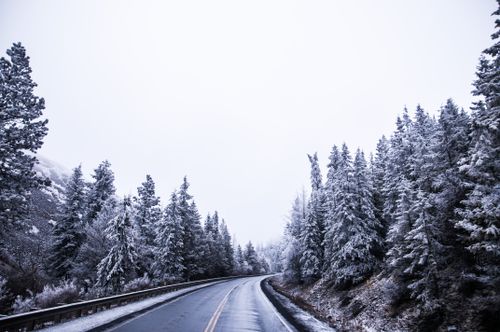 Free A serene winter road curves through a frosted pine forest, evoking a tranquil icy day. Stock Photo